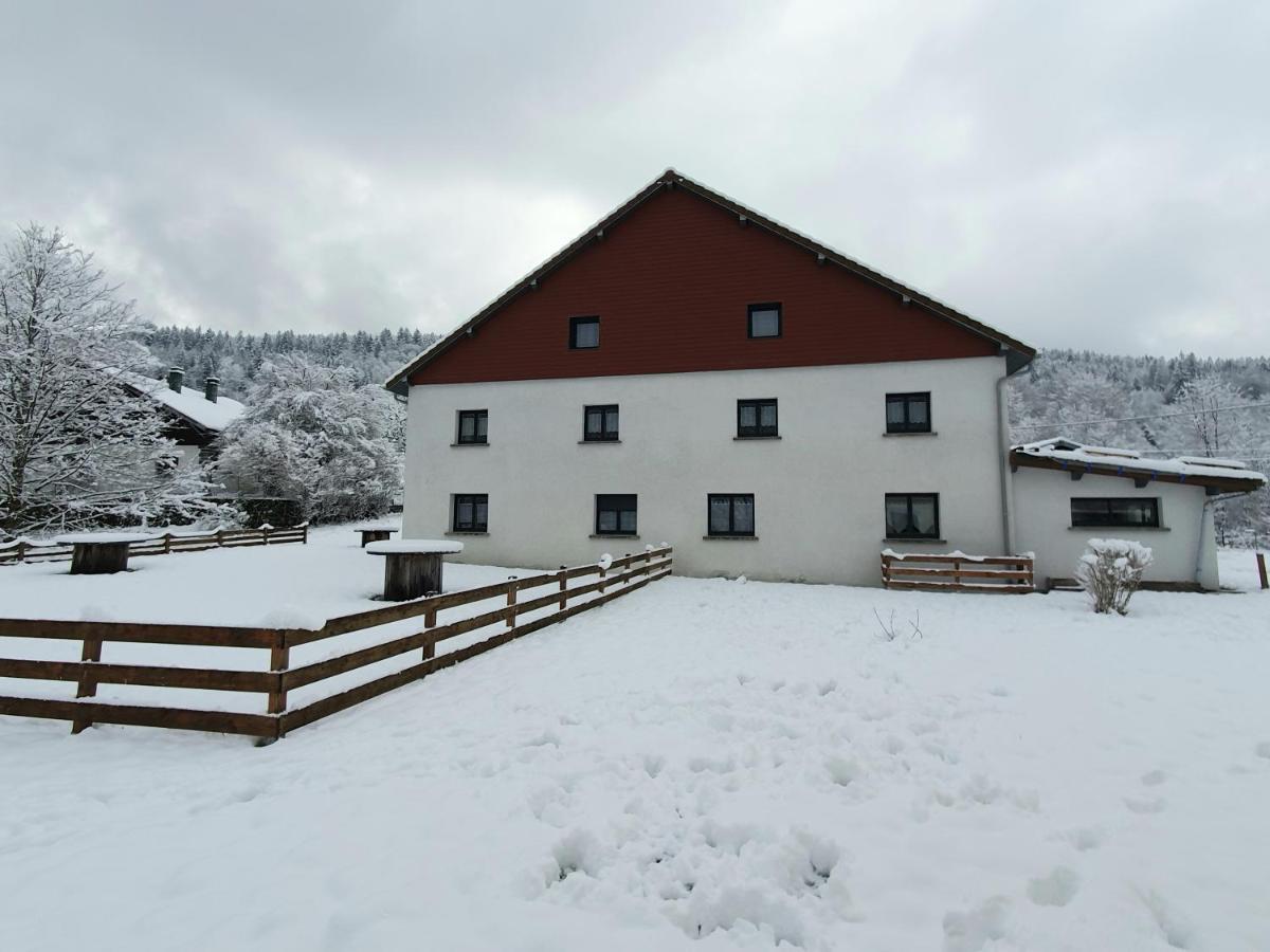 Appart Le Cerf 4 Etoiles 74M2 Cornimont Exterior photo
